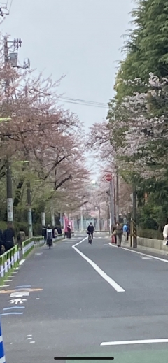 新入生・新社会人おめでとうございます