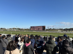 今年もうまくいきますように。