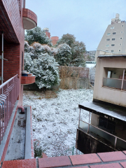 アナログじさまのねごと60