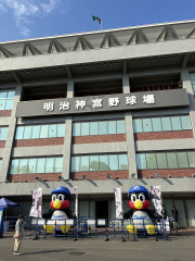 球場探訪　（明治神宮球場）